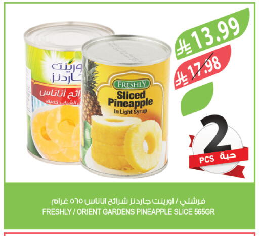 Pineapple available at Farm  in KSA, Saudi Arabia, Saudi - Al-Kharj