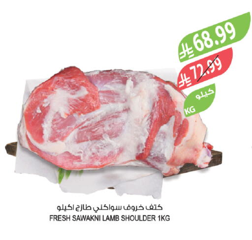 available at Farm  in KSA, Saudi Arabia, Saudi - Al-Kharj