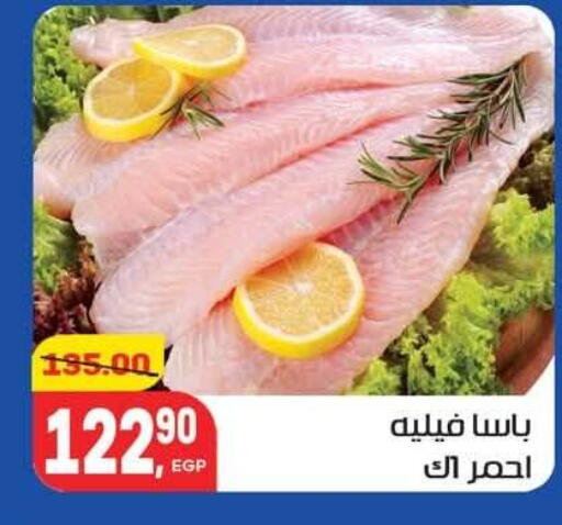 available at Hyper El Mansoura Shobra in Egypt - Cairo
