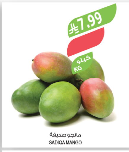Mango available at Farm  in KSA, Saudi Arabia, Saudi - Al-Kharj