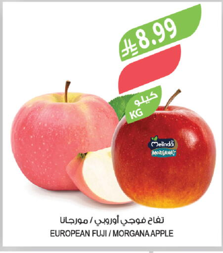 Apple available at Farm  in KSA, Saudi Arabia, Saudi - Al-Kharj