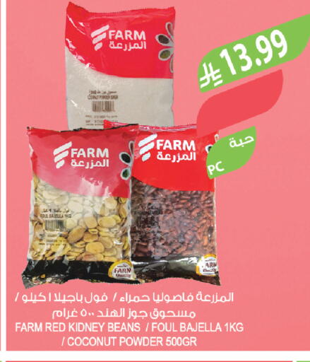 Coconut available at Farm  in KSA, Saudi Arabia, Saudi - Tabuk