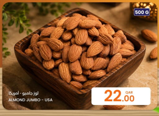 available at البلدي اليوم in قطر - الشحانية