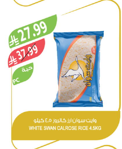 available at المزرعة in مملكة العربية السعودية, السعودية, سعودية - تبوك