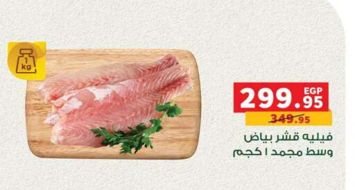 available at بنده in Egypt - القاهرة