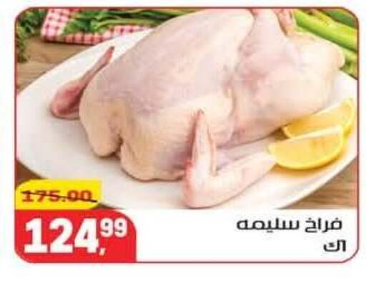 available at Hyper El Mansoura Shobra in Egypt - Cairo