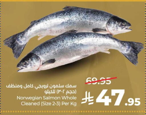 available at لولو هايبرماركت in مملكة العربية السعودية, السعودية, سعودية - جدة