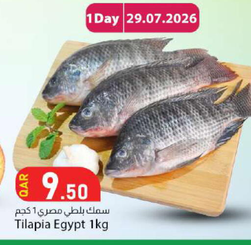 available at دانا ماركت in قطر - أم صلال