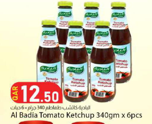 Tomato available at Dana Market in Qatar - Al Wakra