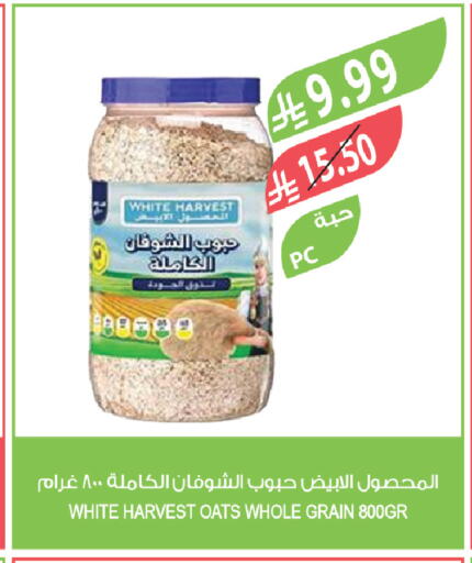 available at Farm  in KSA, Saudi Arabia, Saudi - Al-Kharj