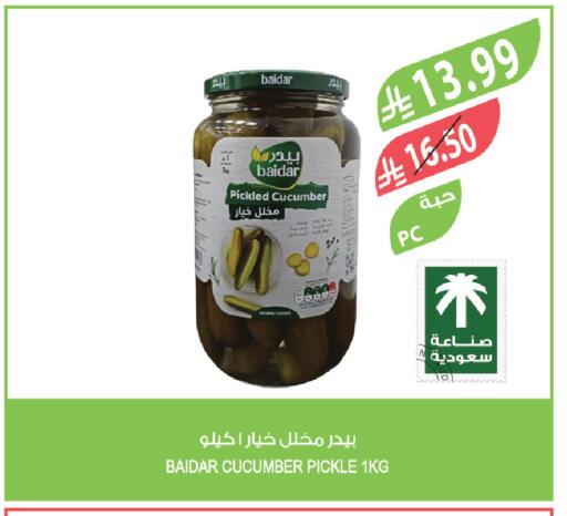 Cucumber available at المزرعة in مملكة العربية السعودية, السعودية, سعودية - الخبر‎