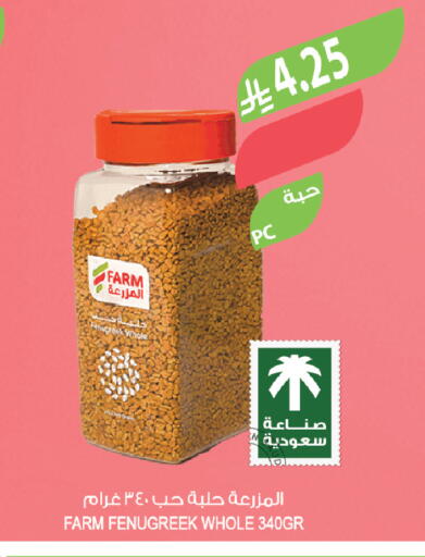 Fenugreek available at Farm  in KSA, Saudi Arabia, Saudi - Al-Kharj