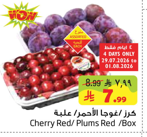 Cherry Plums available at ليان هايبر in مملكة العربية السعودية, السعودية, سعودية - الخبر‎