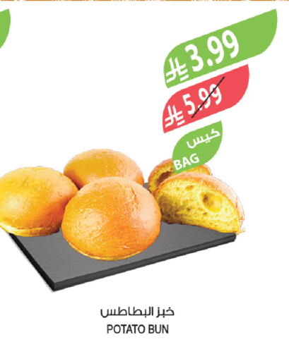Potato available at المزرعة in مملكة العربية السعودية, السعودية, سعودية - الخرج