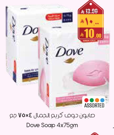 available at City Flower in KSA, Saudi Arabia, Saudi - Yanbu
