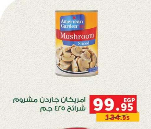 Mushroom available at بنده in Egypt - القاهرة