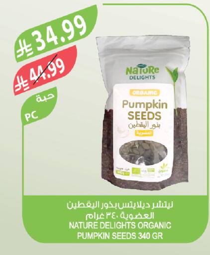Pumpkin available at Farm  in KSA, Saudi Arabia, Saudi - Al-Kharj