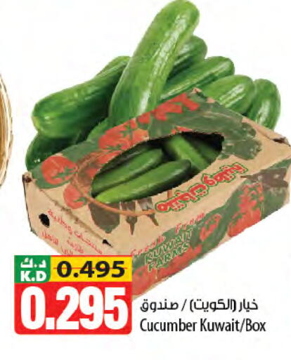 Mango Cucumber from Kuwait available at Mango Hypermarket  in Kuwait - Jahra Governorate