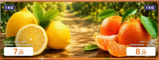 Lemon from South Africa Egypt available at البلدي اليوم in قطر - الشحانية