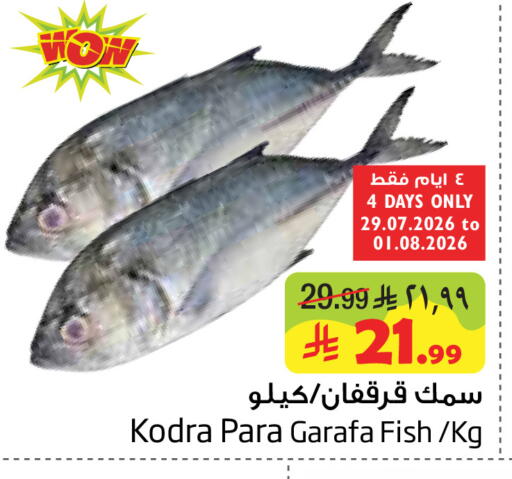 available at Layan Hyper in KSA, Saudi Arabia, Saudi - Al Khobar