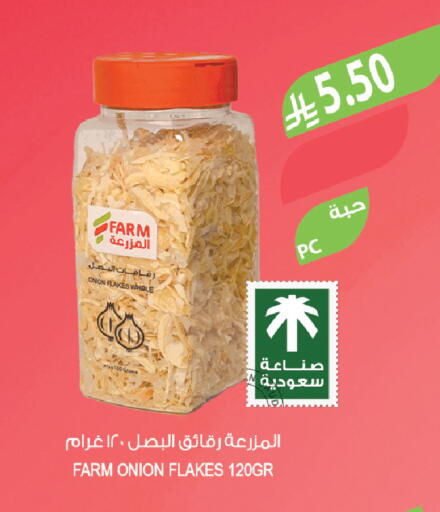Onion available at Farm  in KSA, Saudi Arabia, Saudi - Al-Kharj