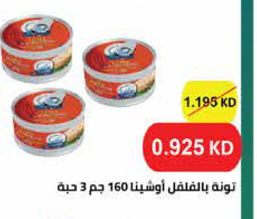 available at جمعية الروضة وحولي التعاونية in الكويت - مدينة الكويت