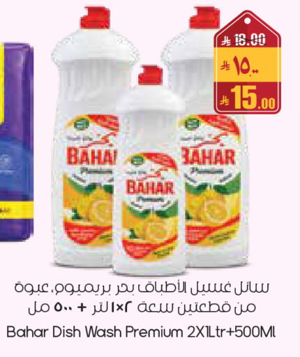 available at City Flower in KSA, Saudi Arabia, Saudi - Yanbu