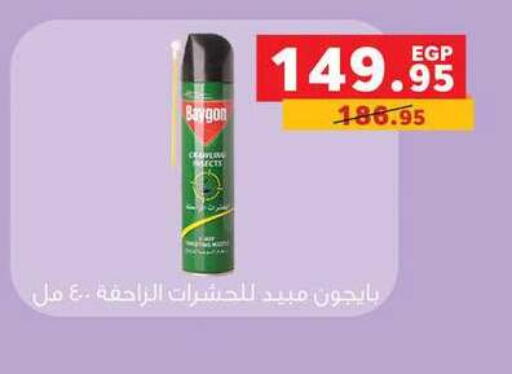 available at Panda  in Egypt - Cairo