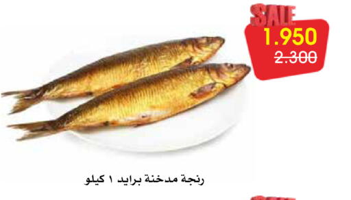 available at جمعية الروضة وحولي التعاونية in الكويت - مدينة الكويت