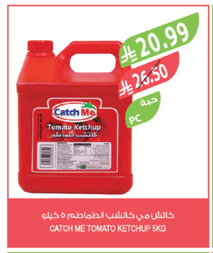 Tomato available at Farm  in KSA, Saudi Arabia, Saudi - Al-Kharj