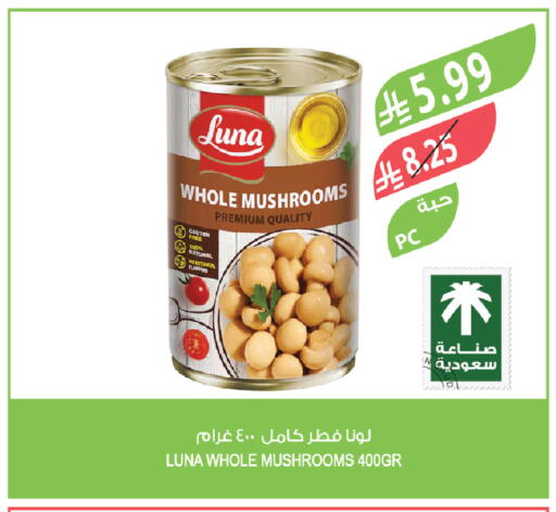 available at Farm  in KSA, Saudi Arabia, Saudi - Al-Kharj