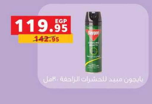 available at Panda  in Egypt - Cairo