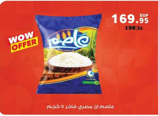 available at بنده in Egypt - القاهرة