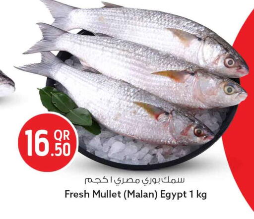 available at Safari Hypermarket in Qatar - Doha