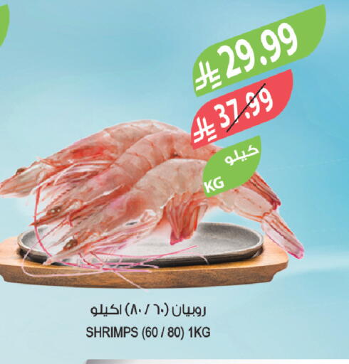 available at Farm  in KSA, Saudi Arabia, Saudi - Tabuk