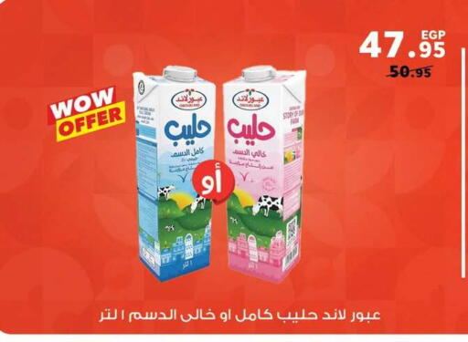 available at بنده in Egypt - القاهرة