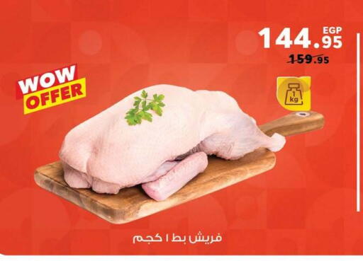 available at بنده in Egypt - القاهرة
