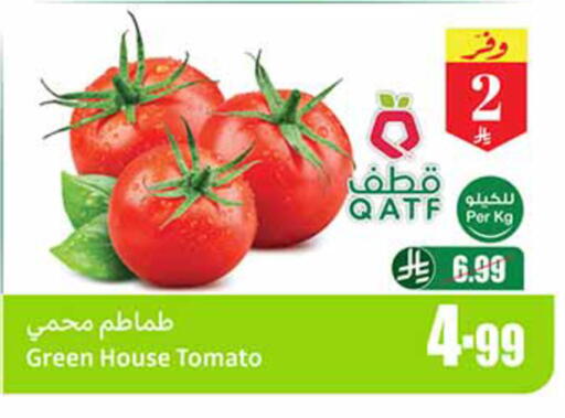 Tomato available at Othaim Markets in KSA, Saudi Arabia, Saudi - Jeddah