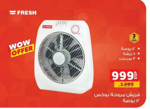 available at بنده in Egypt - القاهرة