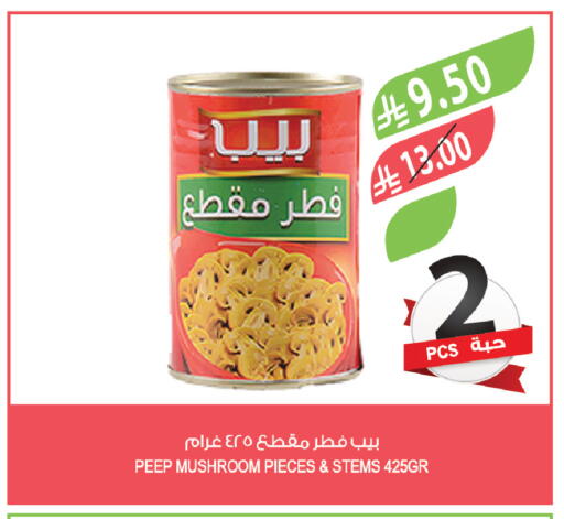 Mushroom available at المزرعة in مملكة العربية السعودية, السعودية, سعودية - تبوك