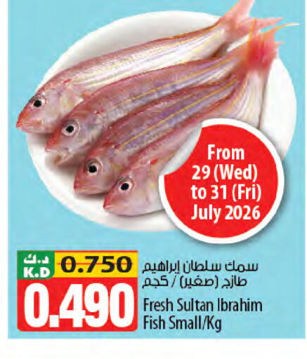 Mango available at Mango Hypermarket  in Kuwait - Jahra Governorate