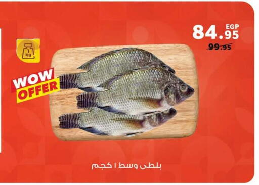 available at بنده in Egypt - القاهرة
