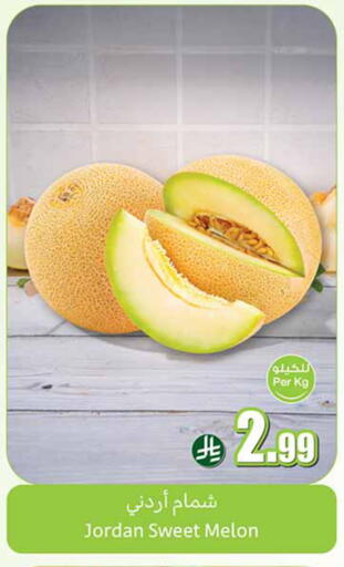 Melon from Jordan available at Othaim Markets in KSA, Saudi Arabia, Saudi - Al-Kharj