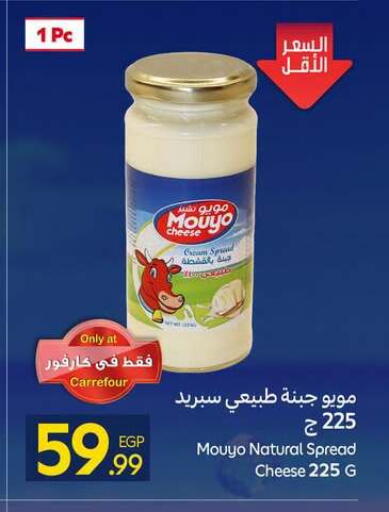 available at كارفور in Egypt - القاهرة