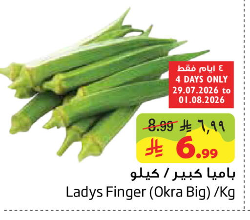 Okra available at ليان هايبر in مملكة العربية السعودية, السعودية, سعودية - الخبر‎