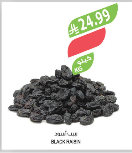 available at Farm  in KSA, Saudi Arabia, Saudi - Al-Kharj