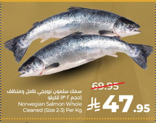 available at لولو هايبرماركت in مملكة العربية السعودية, السعودية, سعودية - جدة