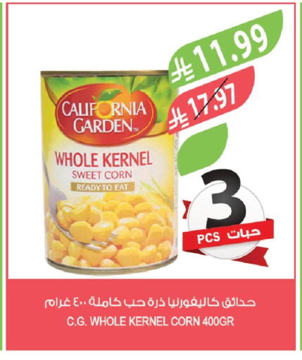 available at Farm  in KSA, Saudi Arabia, Saudi - Al-Kharj