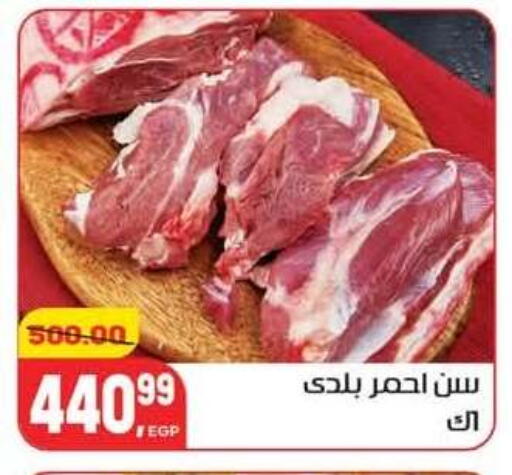available at Hyper El Mansoura Shobra in Egypt - Cairo