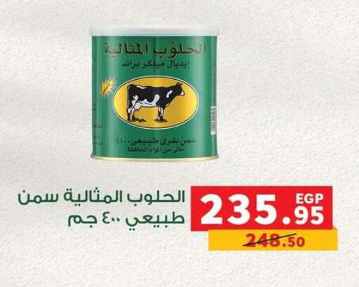 available at بنده in Egypt - القاهرة